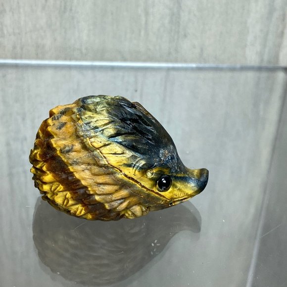 Tiger eye hedgehog - Picture 5 of 6